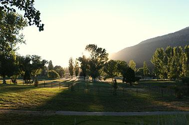 img12