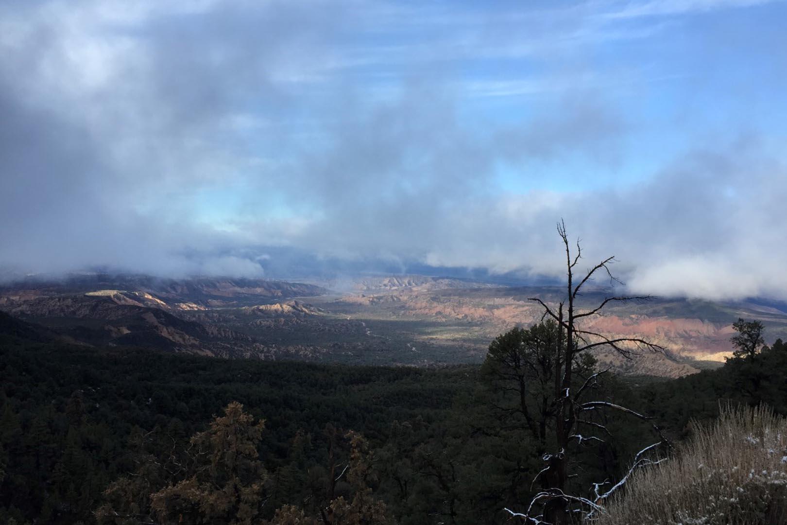 Forest, Hiking, Skiing