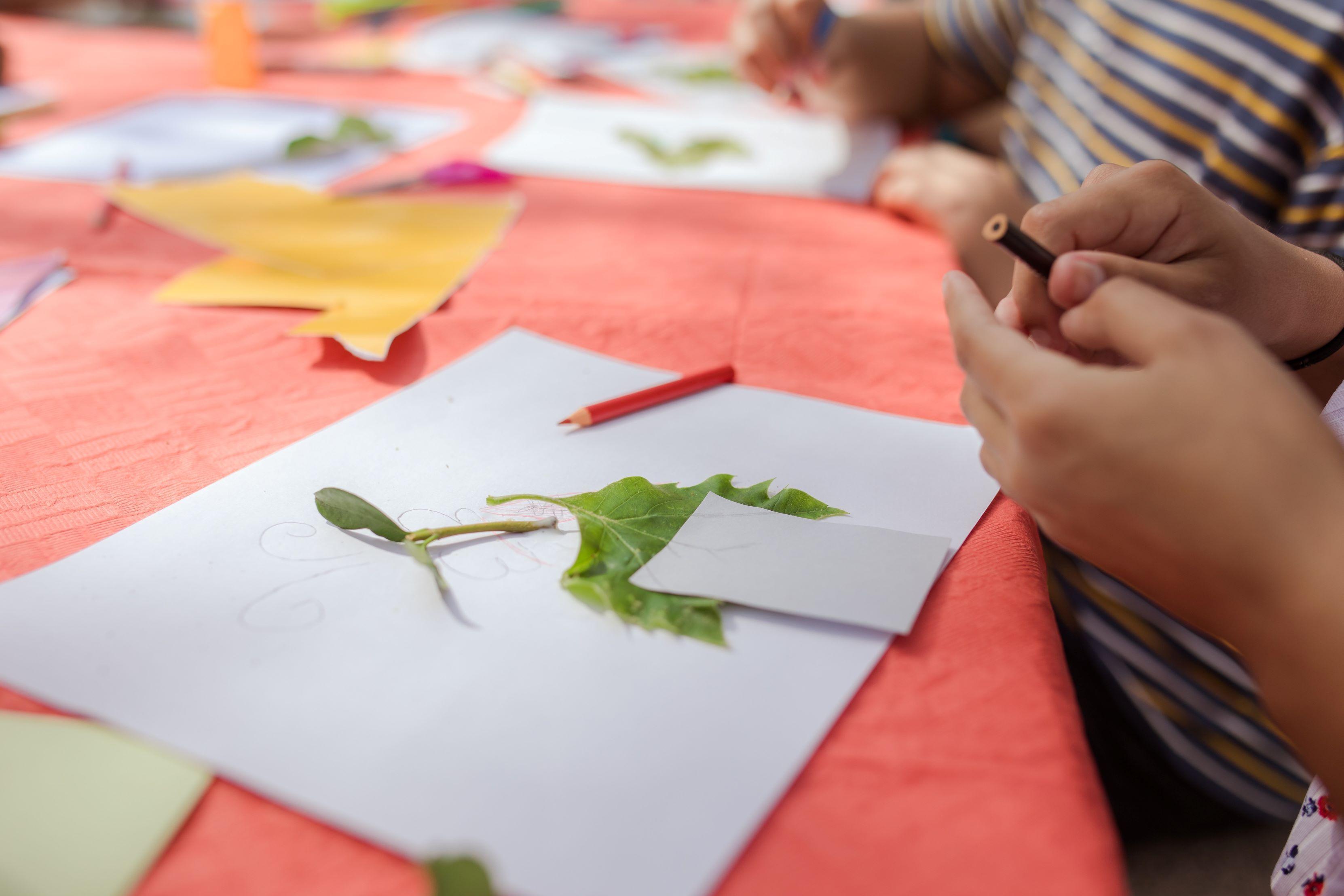 Kid's Art Camp stock photo