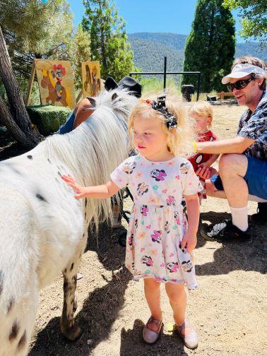 photo of little girl petting mini horse