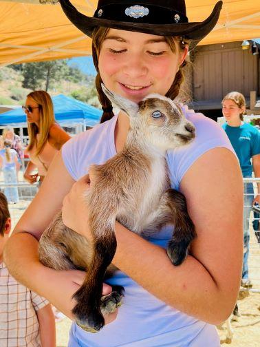 photo of girl with baby goat