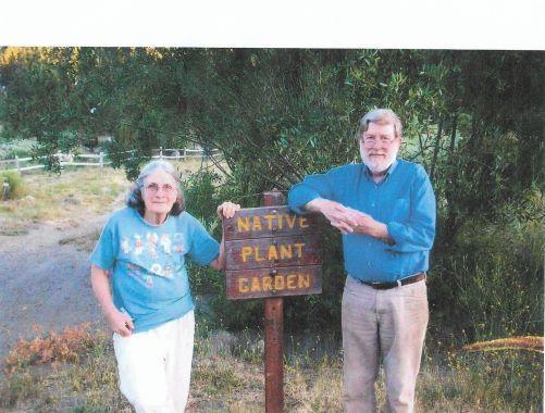 The Lockharts