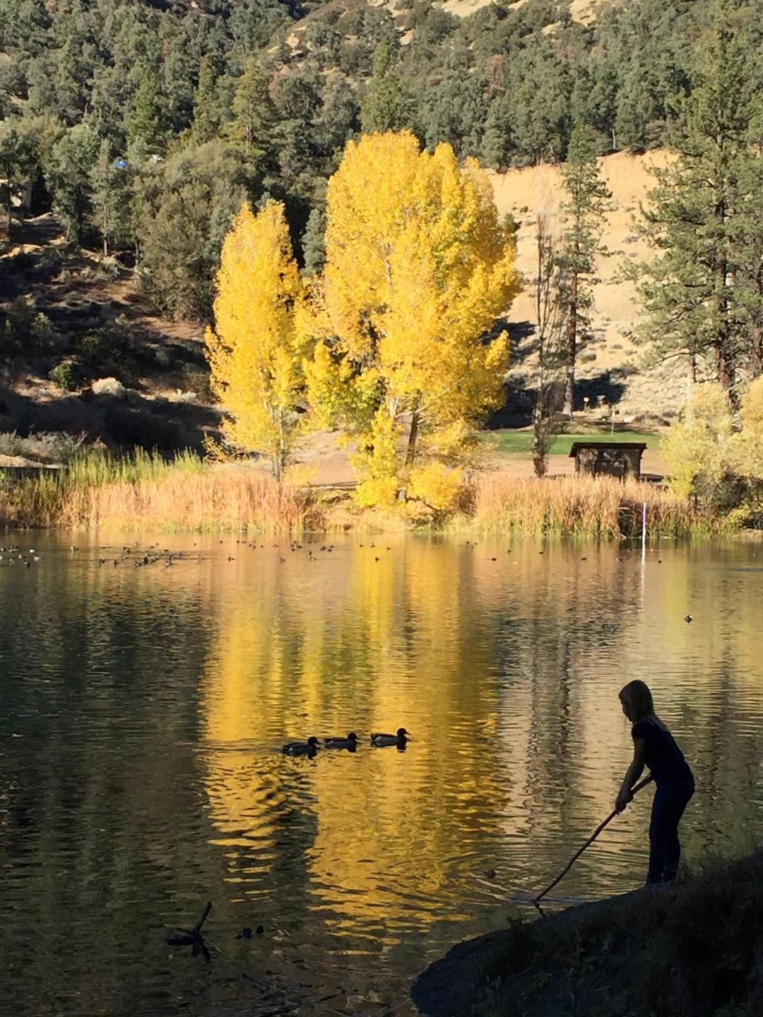 Fern's Lake / Fishing
